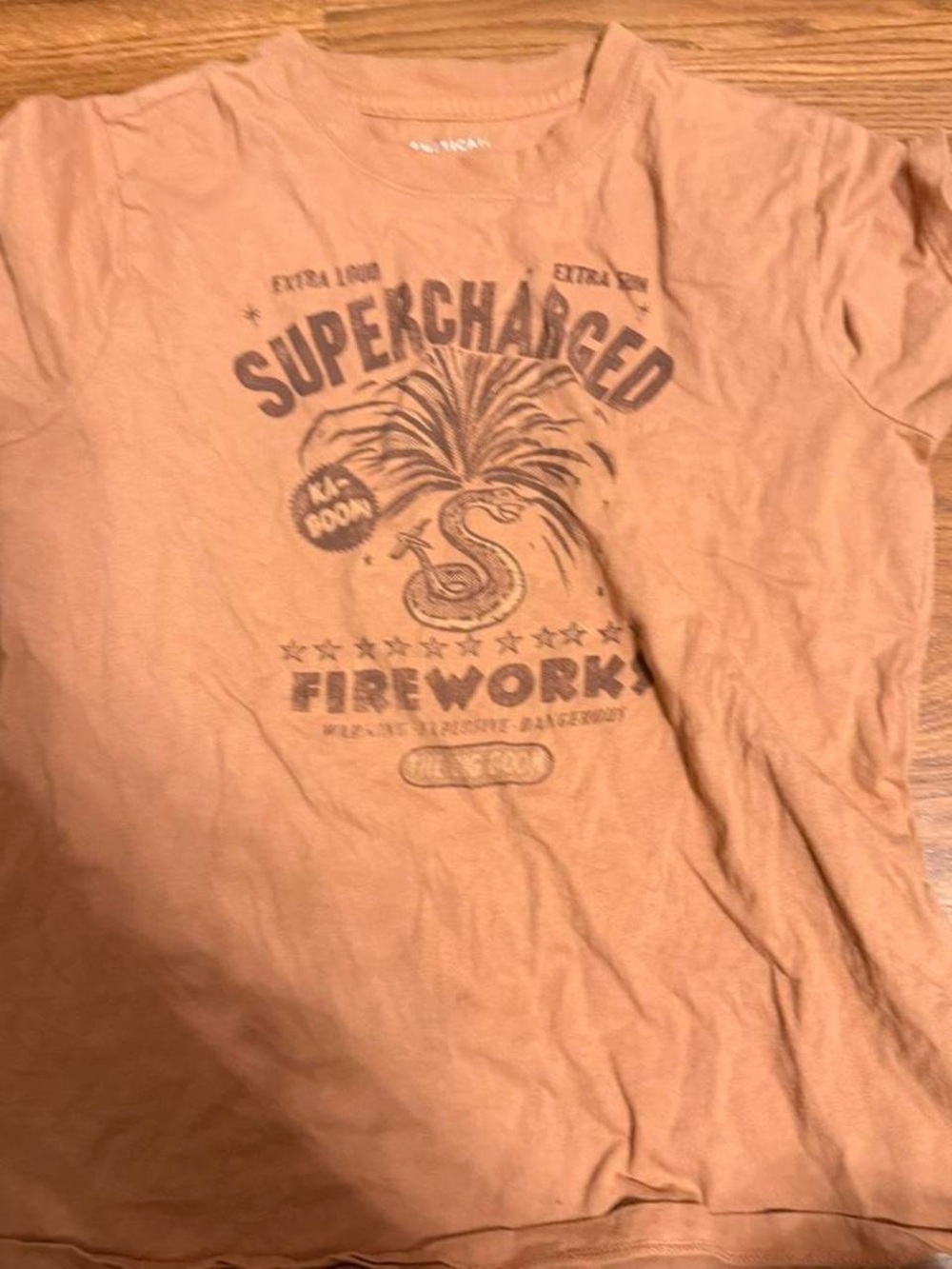 American Eagle Outfitters Rust Brown Graphic Tee